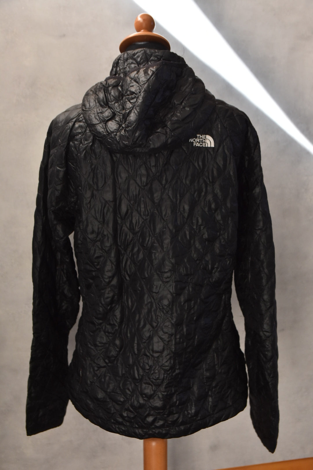 THE NORTH FACE ZENSKA JAKNA GOLEMINA L