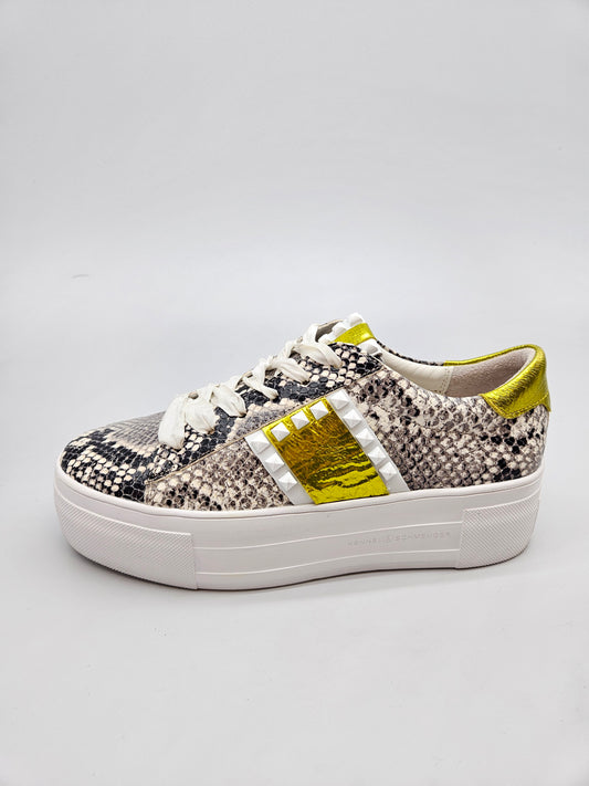 KENNEL SHMENGER ORIGINAL KOZNI PATIKI BR 39
